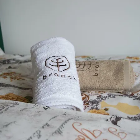 Branch * Arandjelovac