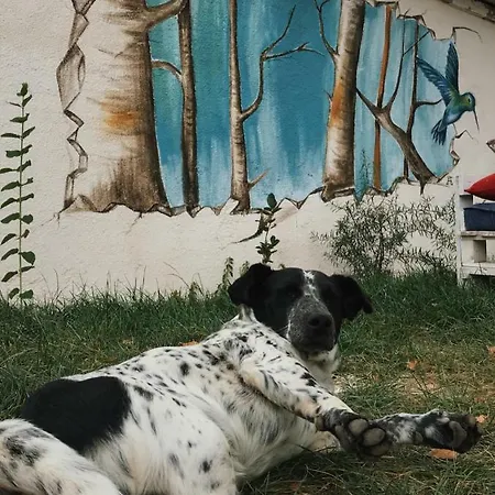 Branch Hostal Arandjelovac