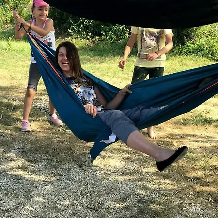 Branch * Arandjelovac