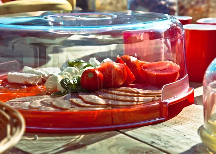 Branch * Arandelovac