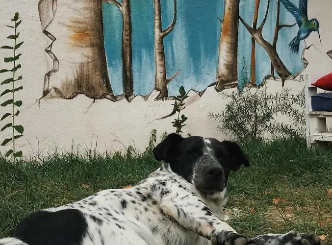 Branch Hostel Arandelovac