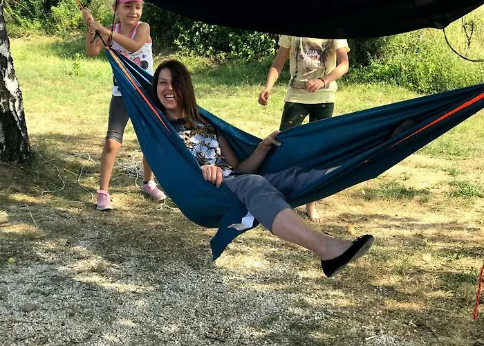 Branch * Arandelovac